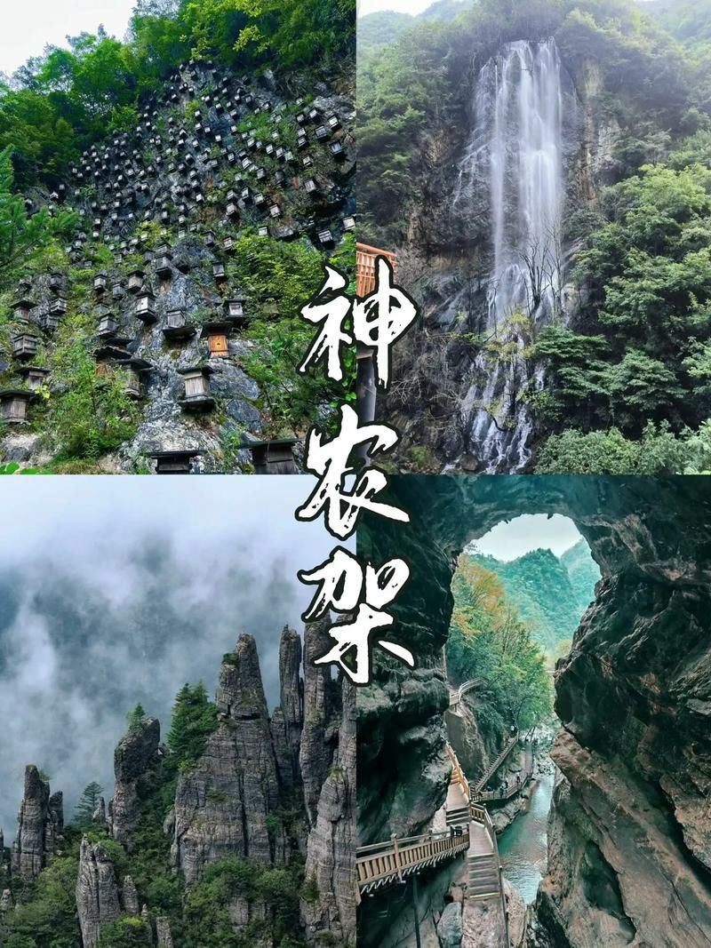 武汉全球通旅行社-神农架红叶-金秋十月