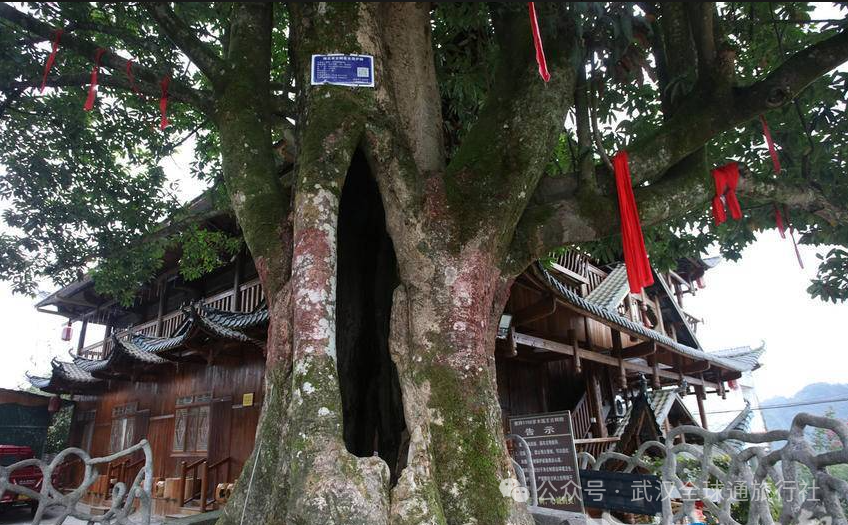 武汉全球通旅行社-宜昌恩施-穿越渝鄂秘境