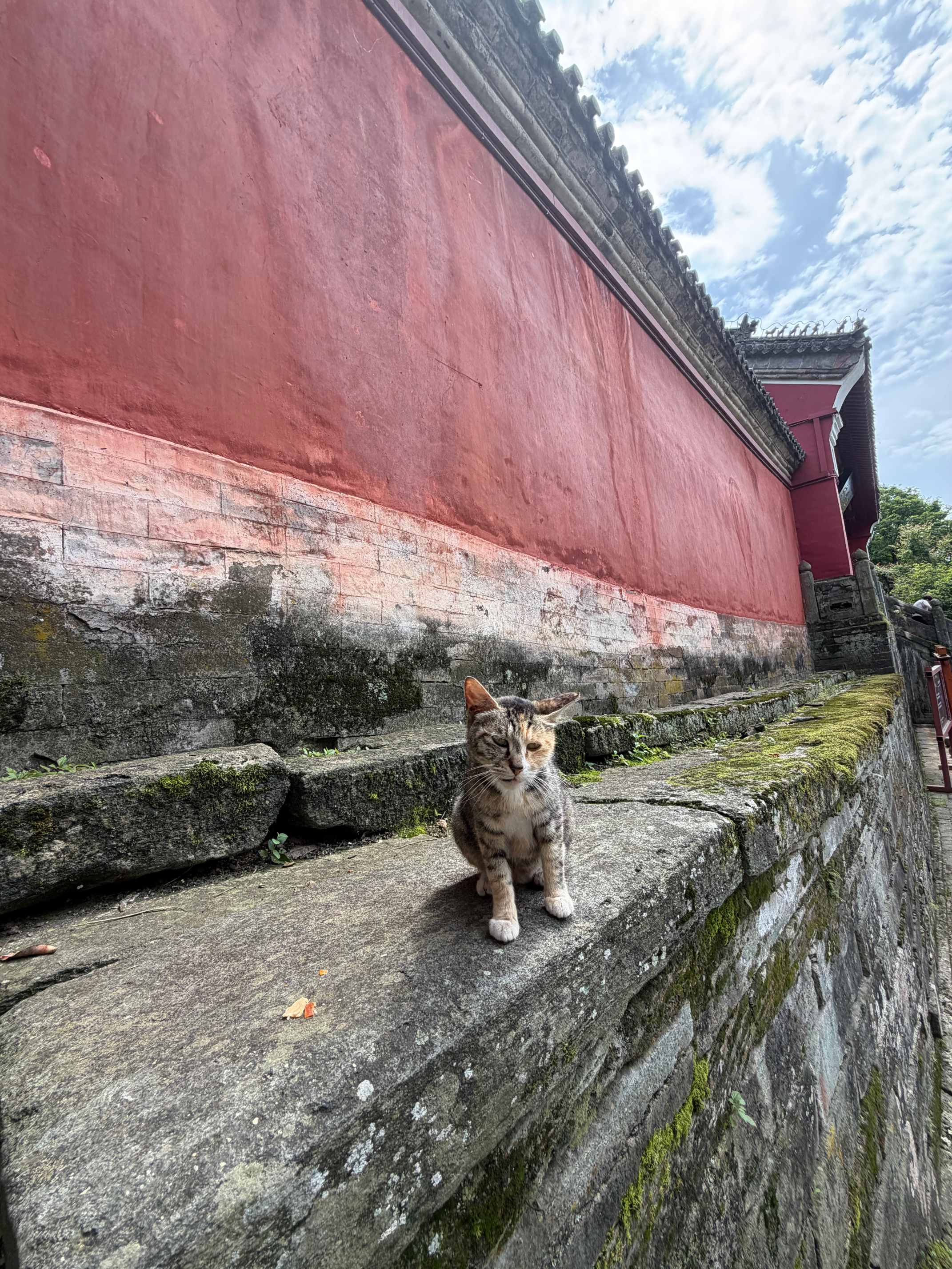 武汉全球通旅行社-武当山-岫云阁 静心 道教圣地 修身养性