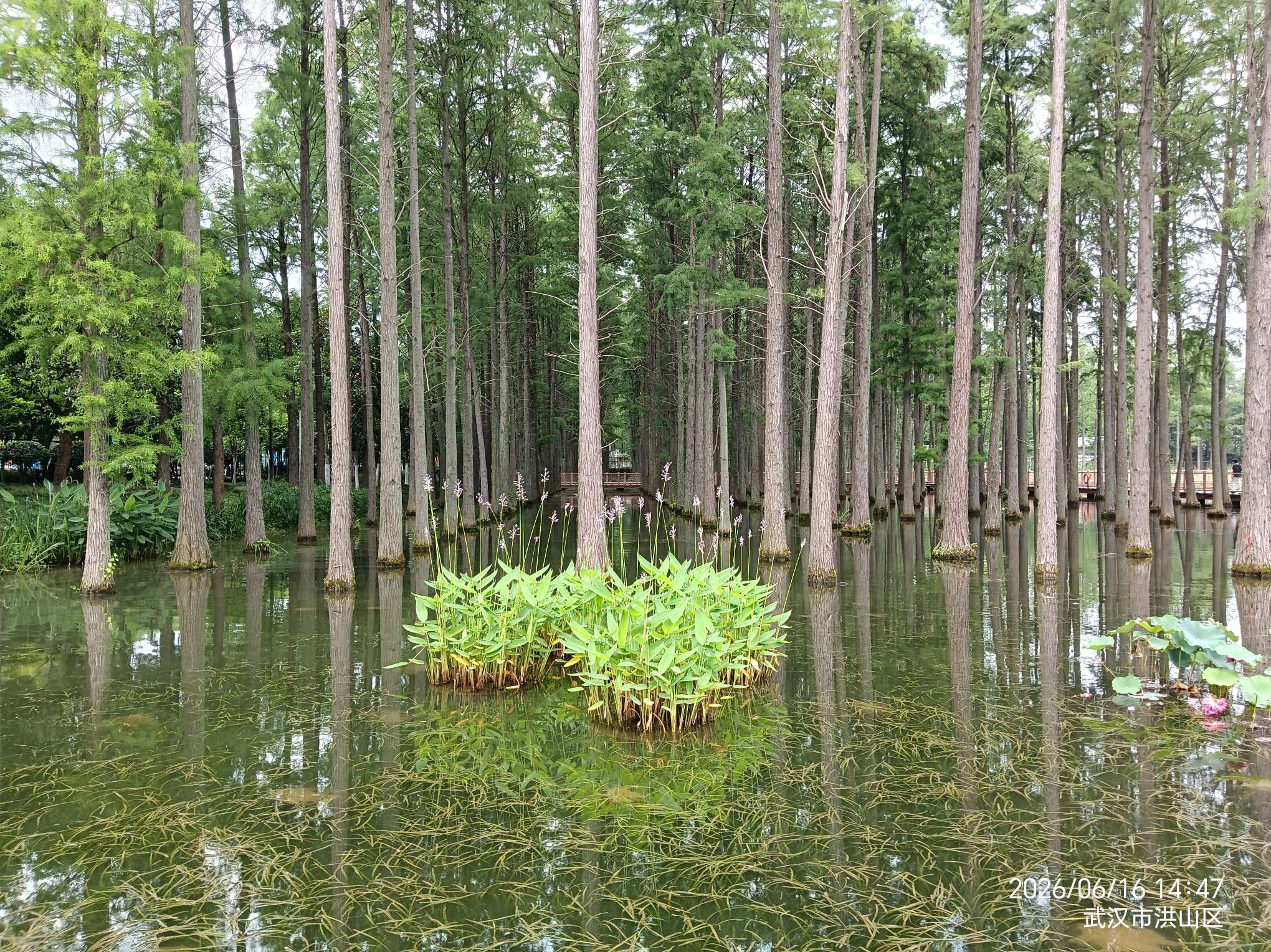 武汉全球通旅行社-武汉研学游 研学 游学 拓展