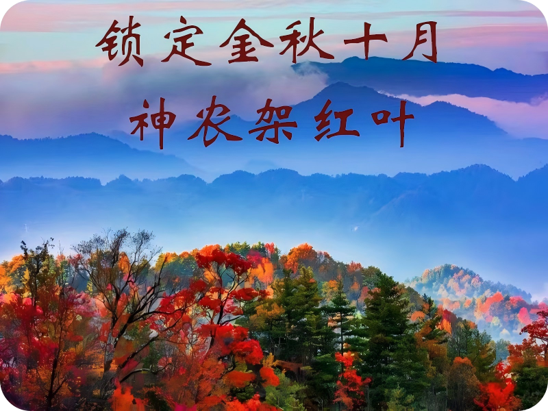 神农架红叶季 4天3晚深度纯玩之旅（宜昌起止）