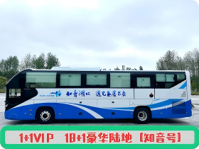 1+1VIP   18+1 豪华陆地【知音号】